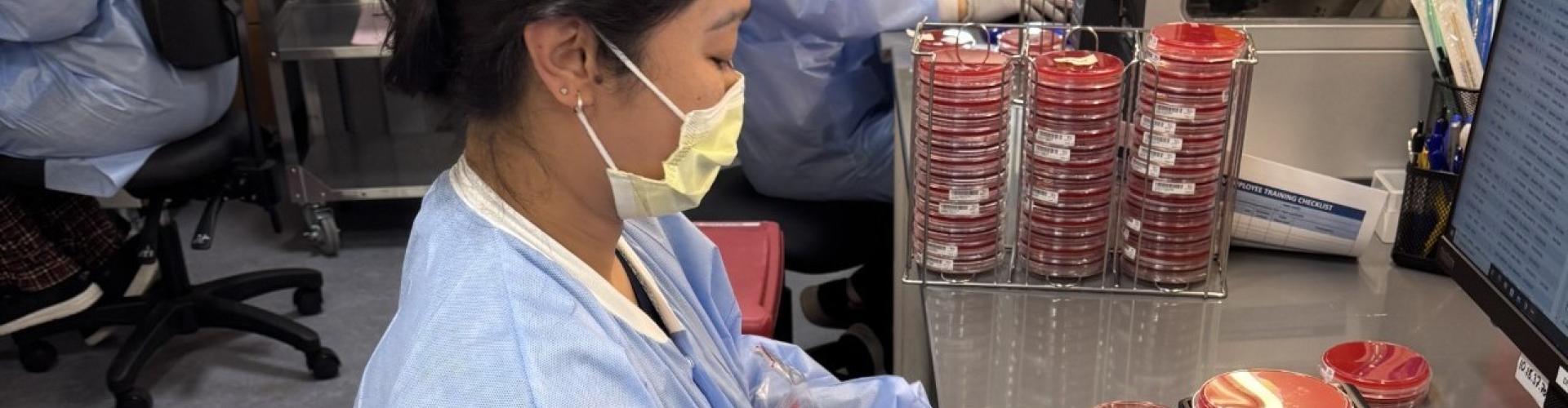 MLS working in Microbiology